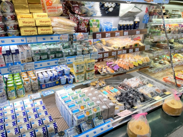 浜中限定!ハーゲンダッツクオリティの濃厚アイスクリーム!「タカナシ2Lアイス」