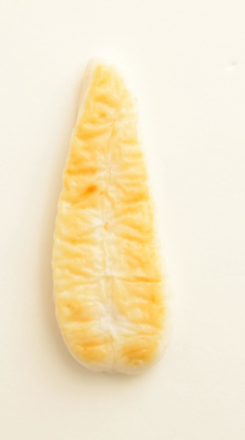 【石巻のみやげスポット】白謙かまぼこ店 本店