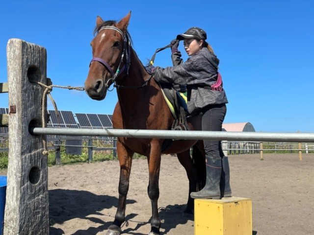 浜中の海岸で憧れの乗馬~夢は暴れん坊将軍!?