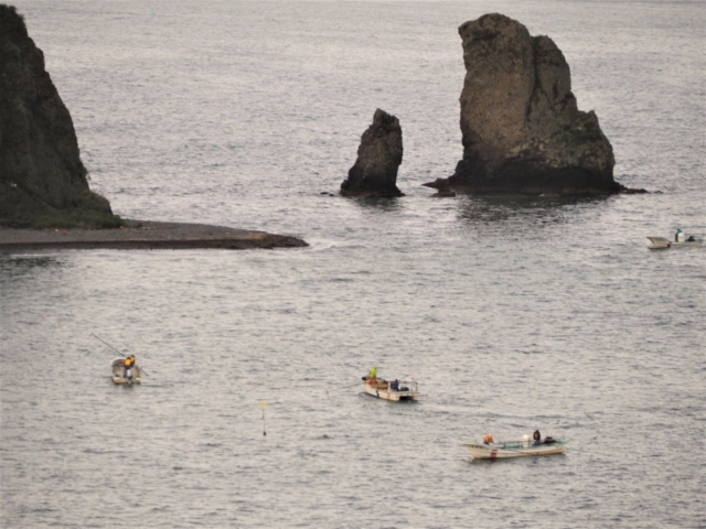 浜中アゼチ岬の絶景スポット~場所取りダッシュの昆布漁がすごい!