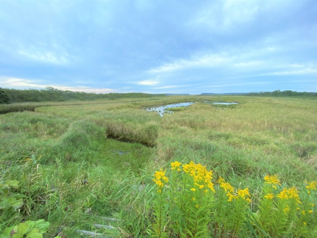 霧多布湿原でカヌー体験!静かな湿原の水鏡の上に浮かぶ!