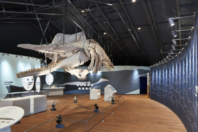 【石巻の観光スポット】おしかホエールランド