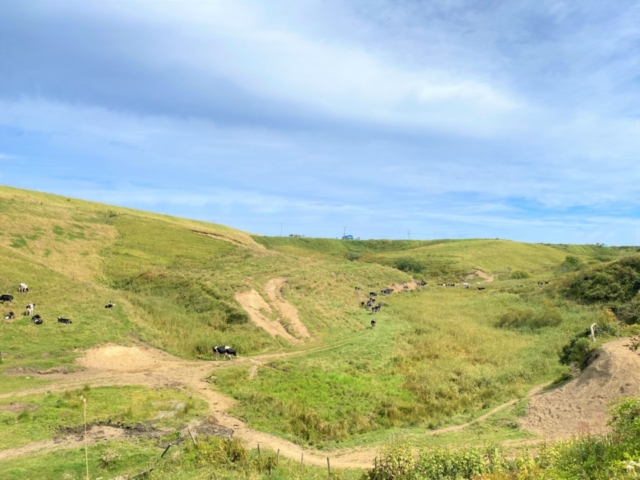 浜中で飲めるクローバー印の牛乳瓶にキュン!「小松牛乳」