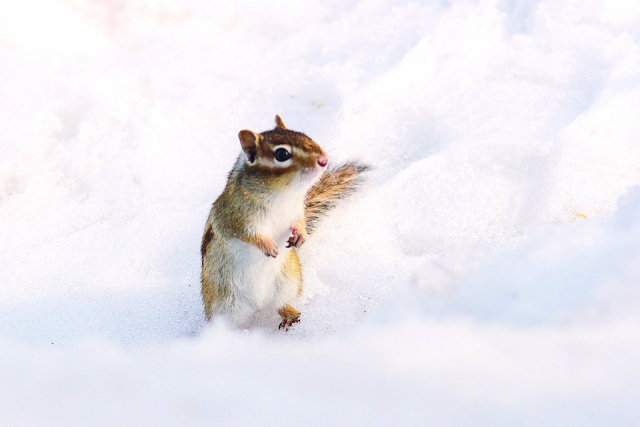 雪道運転のコツその3:駐車場で気をつけることは?