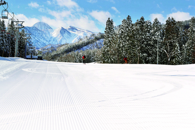 大満足のゲレンデにアフターも充実。 楽しい思い出を残せる豪華リゾート!ロッテアライリゾート