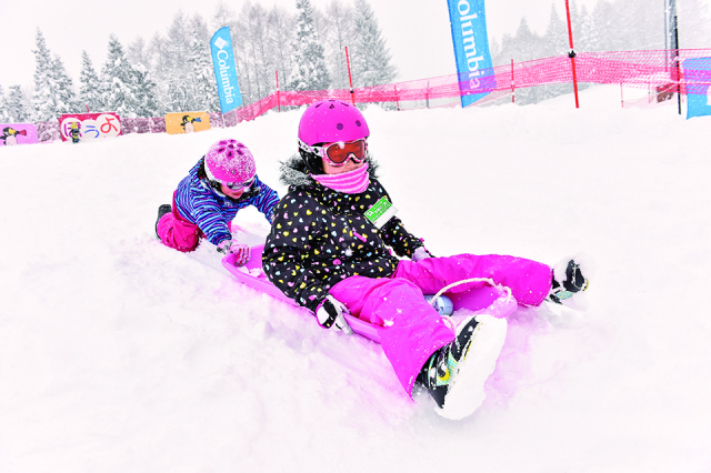 元気なファミリーにおすすめの 妙高を代表するビッグゲレンデ 妙高杉ノ原スキー場