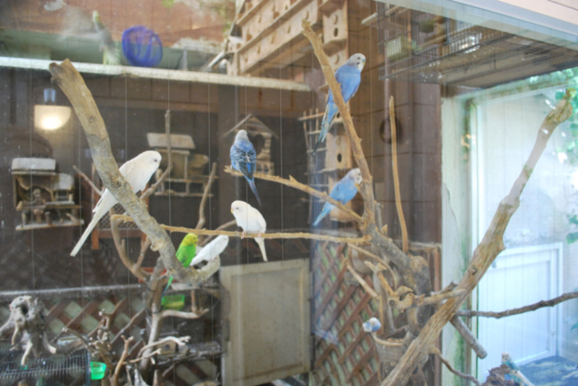 【京都の銭湯・林さんのおすすめ】松葉湯(上京区)