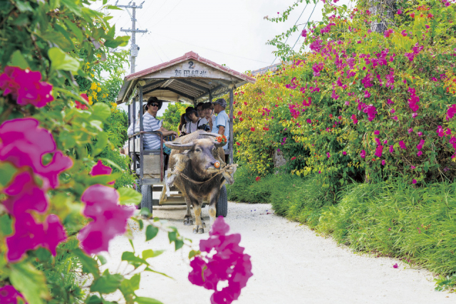 【 新婚旅行で石垣島が選ばれる理由 】