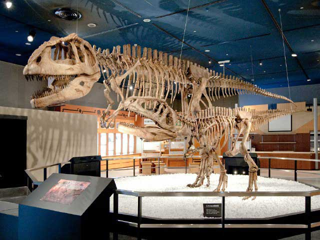 【雨の名古屋】雨の日こそ行きたい!名古屋のおすすめスポット20選