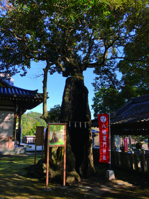 大分のアニメ聖地巡礼:『鬼滅の刃』の聖地① 八幡竈門神社