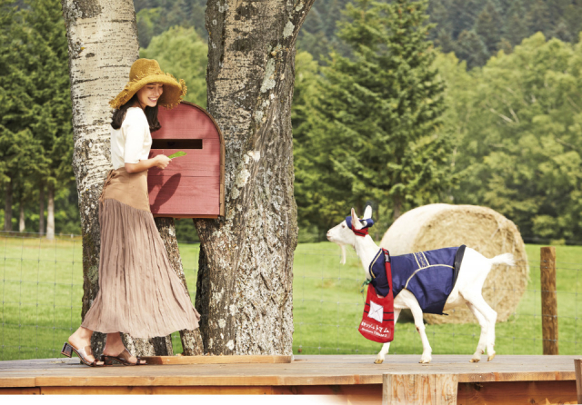 新婚旅行オススメ旅プラン「北海道」 2日目