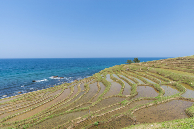新婚旅行オススメ旅プラン「北陸」 2日目