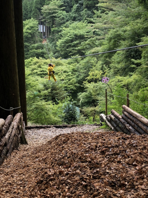 大分のアニメ聖地巡礼:『進撃の巨人』の聖地③ フォレストアドベンチャー奥日田