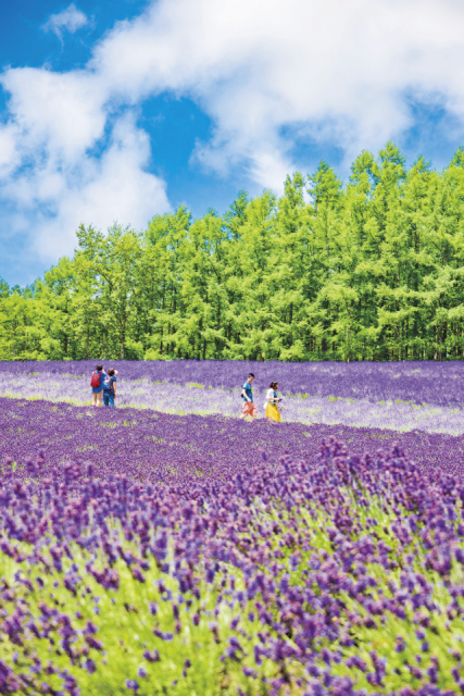 新婚旅行オススメ旅プラン「北海道」 3日目