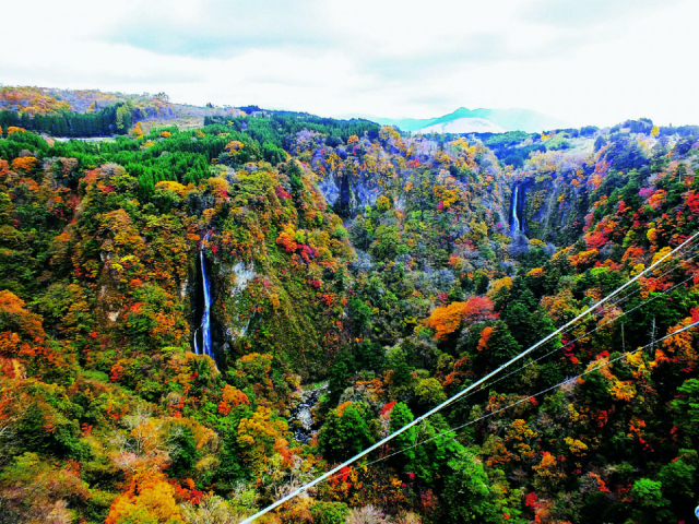 【大分の絶景:定番スポット】高さ日本一! 天空の散歩道から見る大パノラマ「九重“夢” 大吊橋」