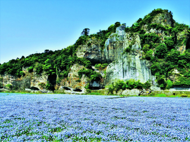 【大分の絶景:定番スポット】紅葉シーズン だけじゃない! 大分屈指の景勝地 「耶馬渓」