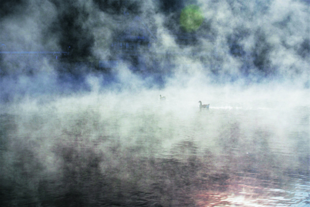 【大分の絶景:定番スポット】湖面から 霧が立ち上る由布院のシンボル「金鱗湖」
