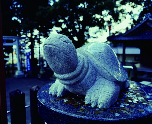 大分のアニメ聖地巡礼:『鬼滅の刃』の聖地① 八幡竈門神社