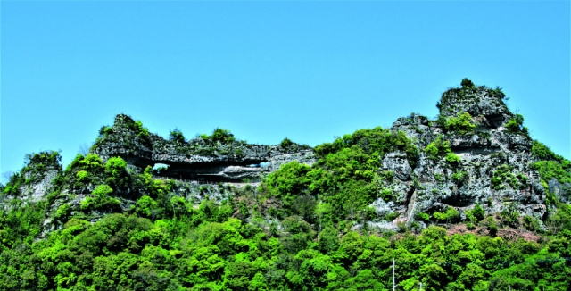 【大分の絶景:定番スポット】紅葉シーズン だけじゃない! 大分屈指の景勝地 「耶馬渓」