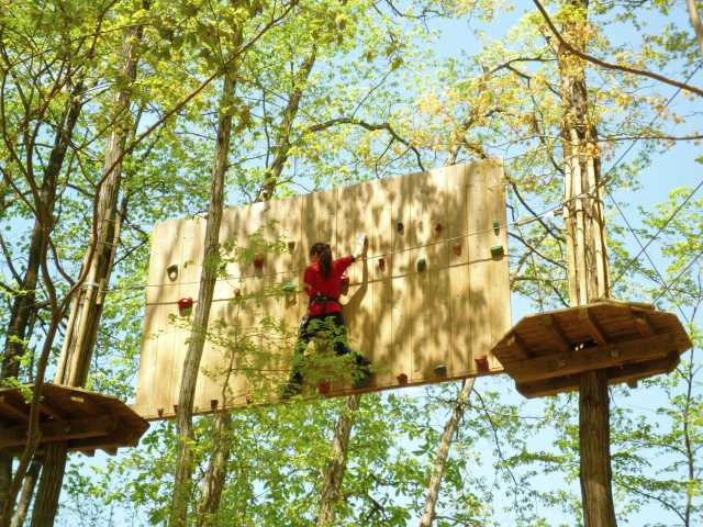 埼玉のおすすめアスレチック10選!大人も子供も楽しめる!