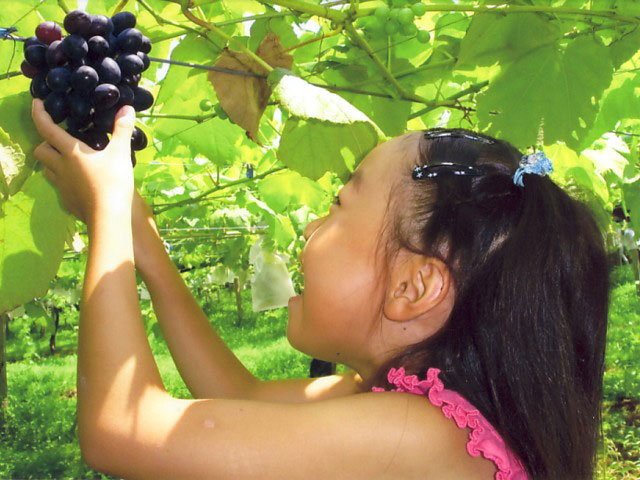 【岐阜】子供の遊び場30選 親子で楽しむならココ!