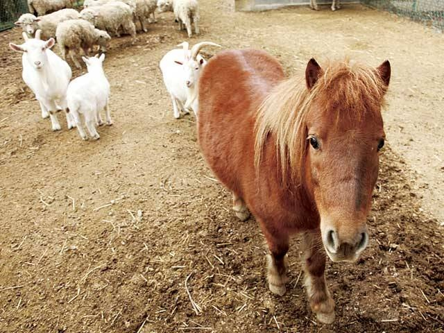 【滋賀】子供の遊び場30選 親子で楽しむならココ!