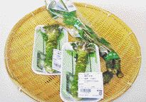 道の駅 みやもり