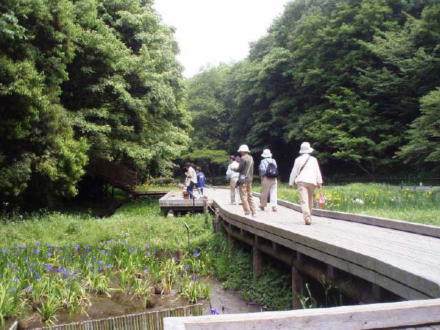 【川崎】子供の遊び場17選!子供と行きたいおすすめスポットご紹介