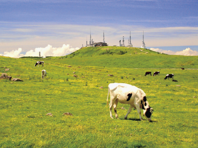 新婚旅行オススメ旅プラン「信州」 1日目