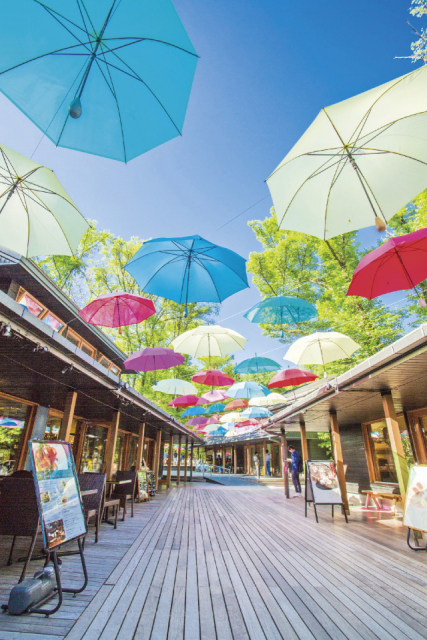 新婚旅行オススメ旅プラン「信州」 3日目