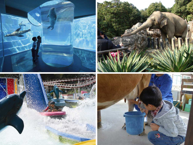 【福岡】子供の遊び場30選 親子で楽しむならココ!