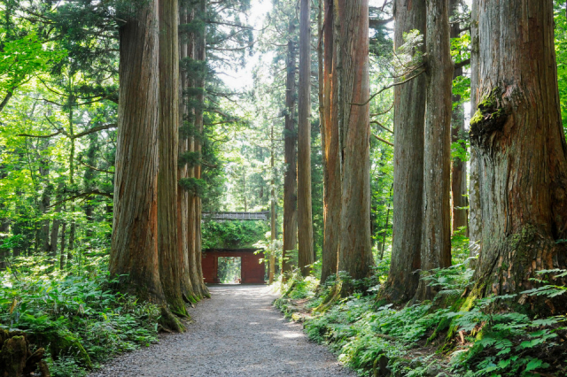 【長野】神秘的なパワースポットでリフレッシュ
