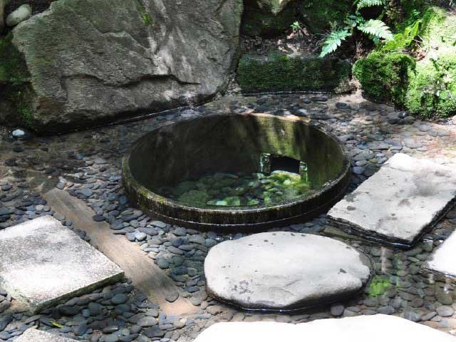永遠の杜はゼロから生み出すパワースポット!明治神宮【東京都渋谷区】