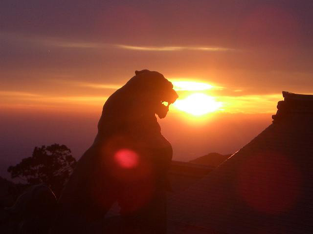 ワンちゃんも一緒に参拝!山全体がパワースポットの御岳山【東京都青梅市】