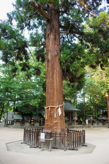 日本アルプスの総鎮守として知られるパワースポット「穂高神社」(長野県安曇野市)