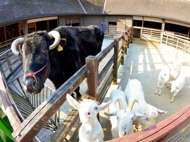 【岡山】子供の遊び場30選 親子で楽しむならココ!