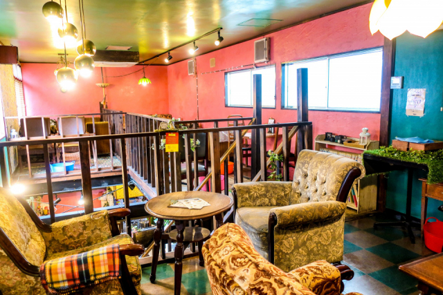 チョコミントムース(704円)