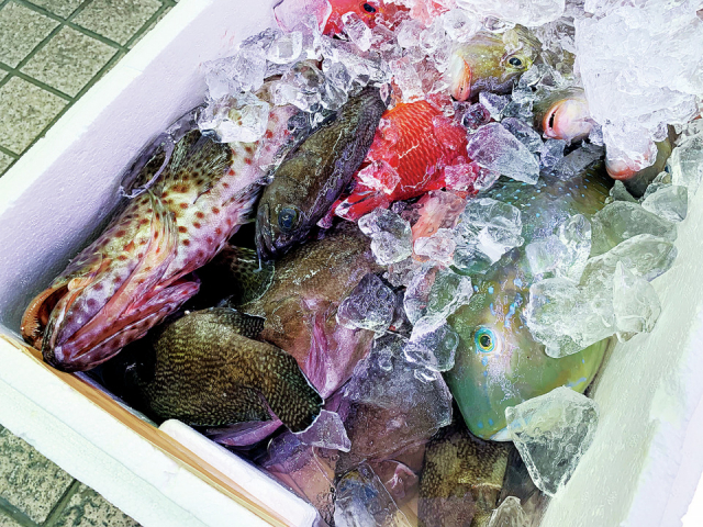 ユーグレナモール周辺を街ブラ①:新しくなった島の市場をぶらり