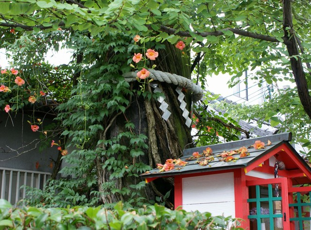 縁結びの由来:愛染堂勝鬘院