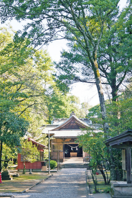 【宮崎インスタ映え/パワスポ⑦】江田神社(宮崎タウン)