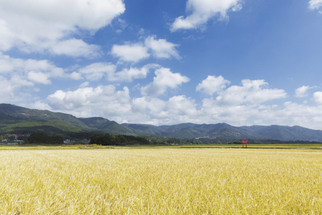 【宮崎インスタ映え/絶景④】菅原神社の大鳥居(えびの市)