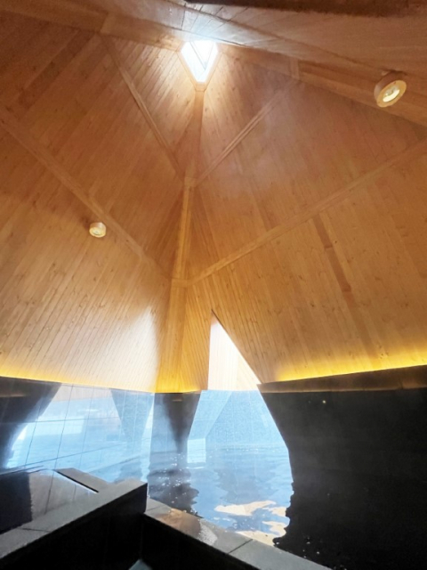 魅力3:すばらしい泉質のモール温泉