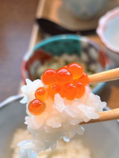 魅力5:食材と調理法にこだわったおいしいごはん