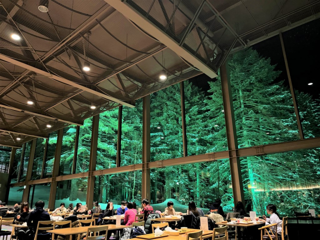 魅力6:バイキングからフルコースまで!気分に合わせて選べるお食事