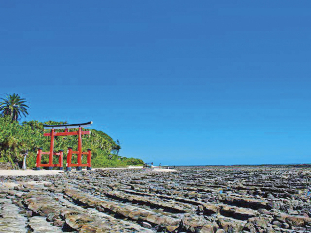 【宮崎インスタ映え/パワスポ①】青島神社(青島)