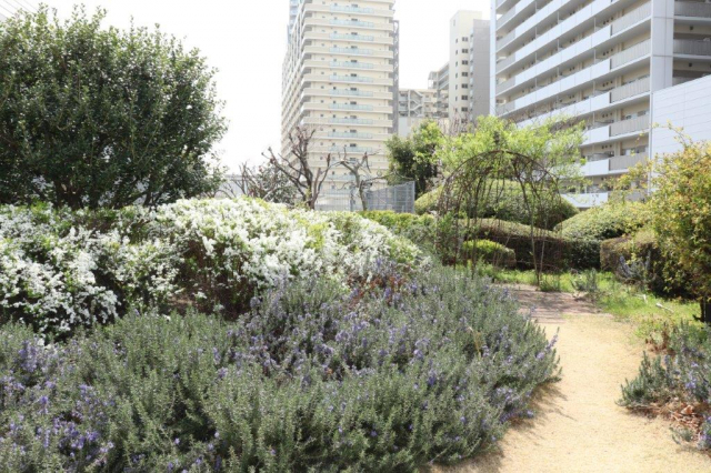 【難波でデート】自然いっぱいの穴場スポットでピクニック気分「OCAT屋上ガーデン」