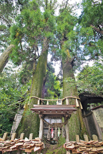 【宮崎インスタ映え/パワスポ③】高千穂神社(高千穂)