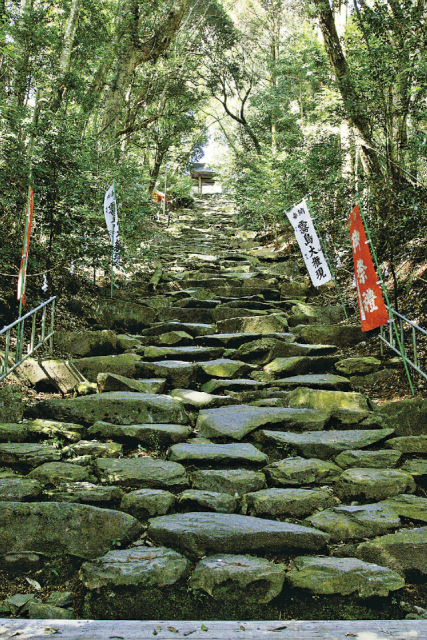 【宮崎インスタ映え/パワスポ④】東霧島神社(都城市)