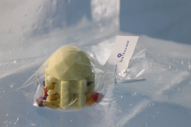 魅力1:冬限定の幻想的な氷の街・アイスヴィレッジ