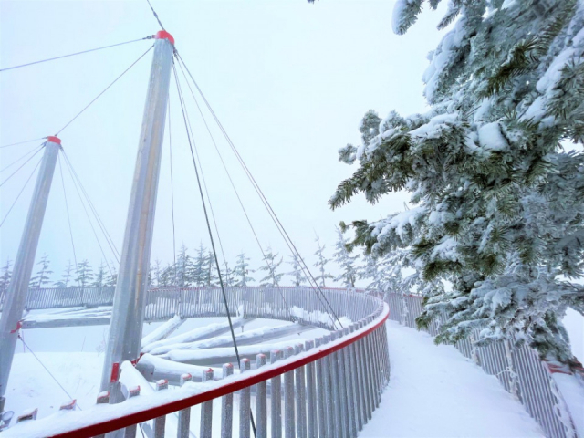 魅力2:トマム山の絶景を楽しめる霧氷テラス